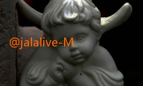 @jalalive-Menyelami Strategi Pelatih Persita Tangerang Menuju Musim 2025