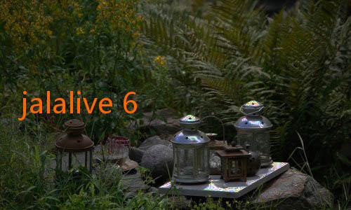 jalalive 6 com-Pelita Jaya Berambisi Pertahankan Rekor Tanpa Kekalahan