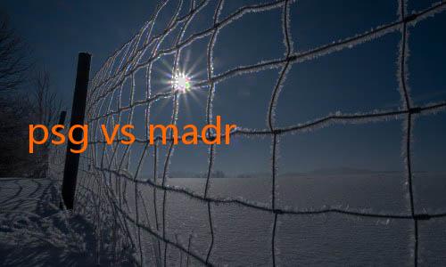 psg vs madrid jalalive-Prediksi Duel Sengit Antara Persita dan Persikabo: Adu Gengsi dan Semangat Juara di Lapangan